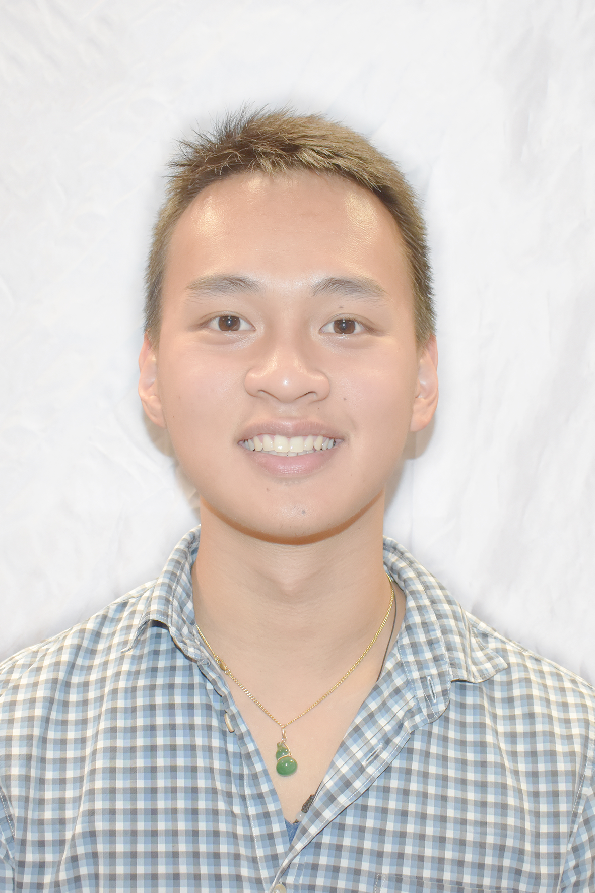 Michel TRAN