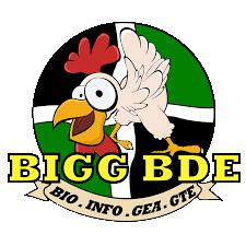 BIG BDE